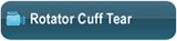 Rotator Cuff Tear